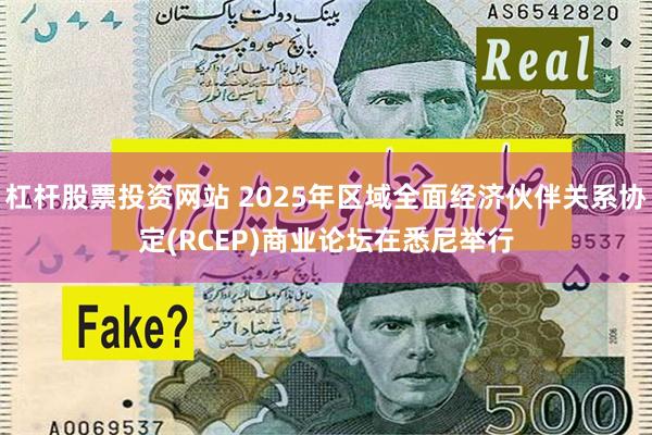 杠杆股票投资网站 2025年区域全面经济伙伴关系协定(RCEP)商业论坛在悉尼举行