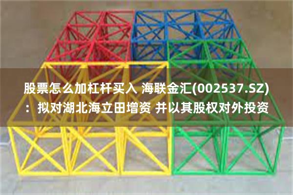股票怎么加杠杆买入 海联金汇(002537.SZ)：拟对湖北海立田增资 并以其股权对外投资