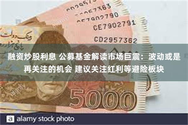 融资炒股利息 公募基金解读市场巨震：波动或是再关注的机会 建议关注红利等避险板块