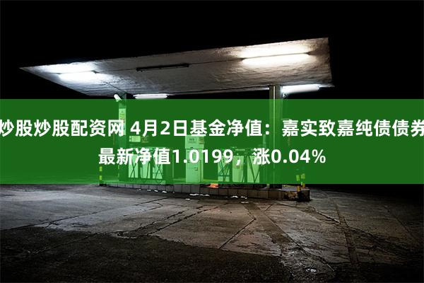炒股炒股配资网 4月2日基金净值：嘉实致嘉纯债债券最新净值1.0199，涨0.04%