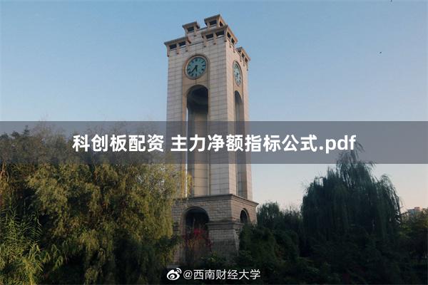 科创板配资 主力净额指标公式.pdf