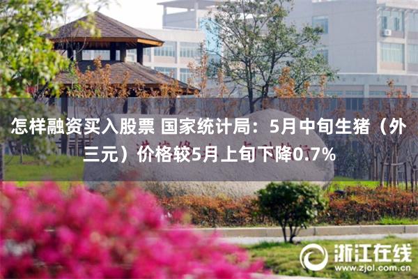 怎样融资买入股票 国家统计局：5月中旬生猪（外三元）价格较5月上旬下降0.7%