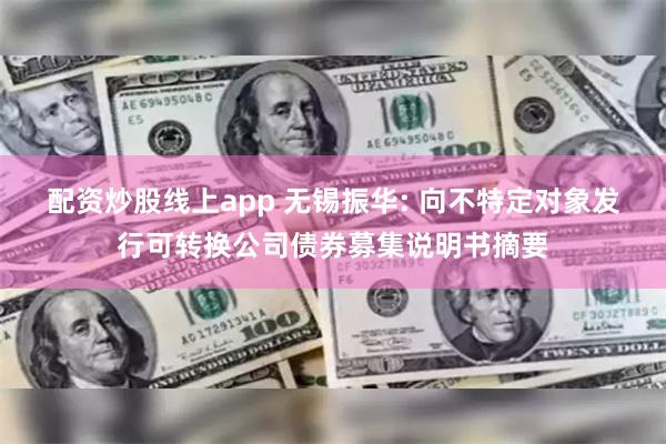 配资炒股线上app 无锡振华: 向不特定对象发行可转换公司债券募集说明书摘要