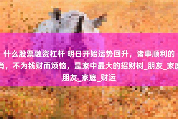 什么股票融资杠杆 明日开始运势回升，诸事顺利的4大生肖，不为钱财而烦恼，是家中最大的招财树_朋友_家庭_财运